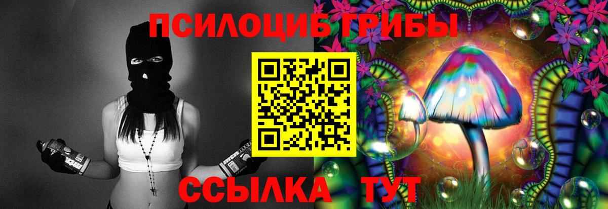 Псилоцибиновые грибы GOLDEN TEACHER Татарск