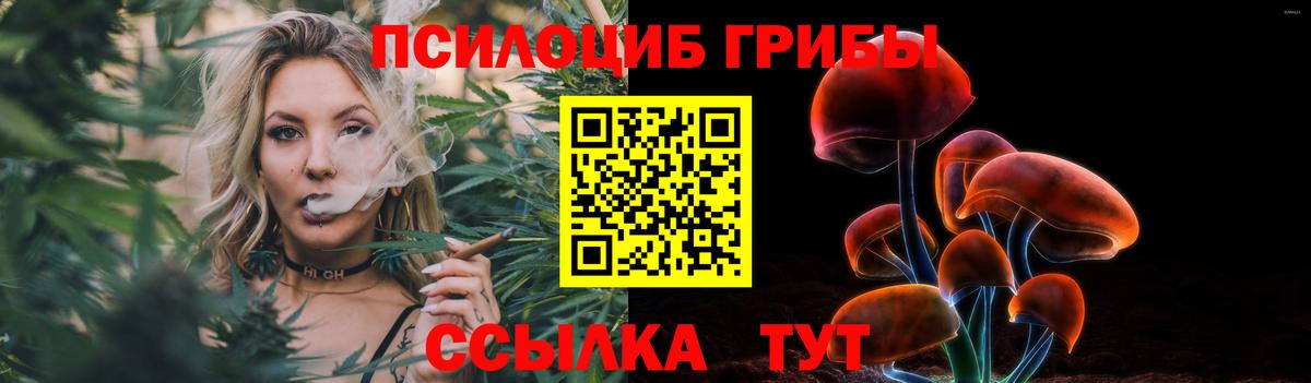 Татарск  Псилоцибиновые грибы мицелий  Вход с VPN  Псилоцибиновые грибы ЛСД 